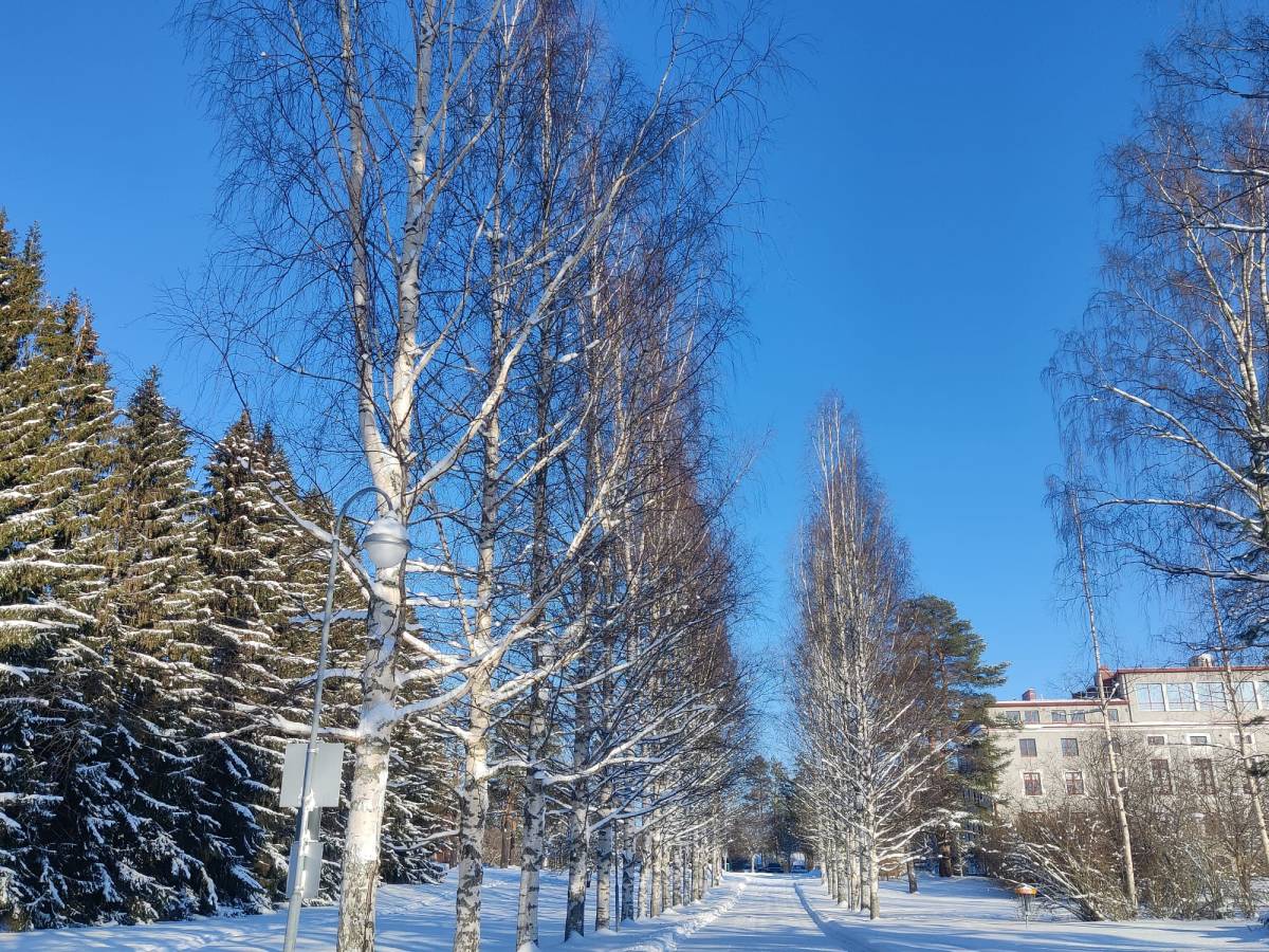 Niittylahden historiallinen opistomiljöö ja liikenneturvallisuus turvattava!